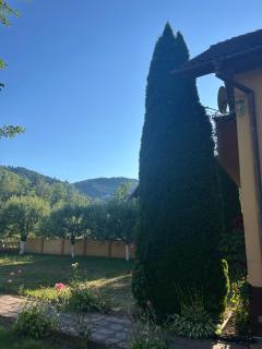 Insieme - 5