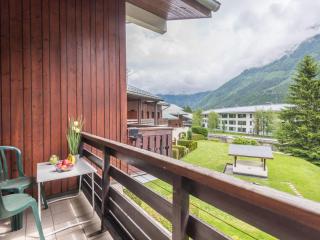 Appartement cosy avec vue Mont-Blanc, parking, animaux acceptés - FR-1-517-26 - Chamonix - 2
