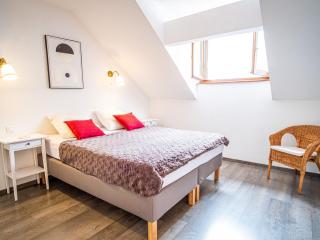 Superbe appart rénové centre, 7-10 pers, animaux admis - FR-1-517-37 - 4
