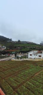 HILL view ooty HOME Stay - 9