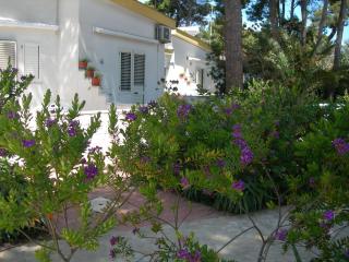 Hotel La Vela - - 2