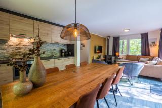 Vakantiepark De Wiltzangh - Fins Chalet Hottub 6 - Ruinen - 7