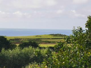 Little Orchard - Luxury home in Tintagel - Tintagel - 1