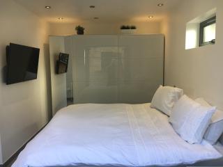 Wingfield Garden Suite - Kingston upon Thames - 1