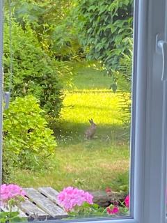 L'Hôtié de Brocéliande, au coeur des sites naturels et légendaires - 3