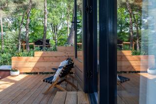 Tiny House de Hazelaar - Zuidwolde - 6