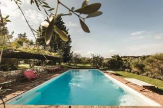 Primerose - Greve in Chianti - 9