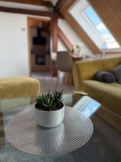 Rebenblick Dachsuite mit kulinarischen Extras auf Wunsch - 5