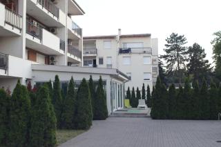 Honey Wellness Apartman - 1