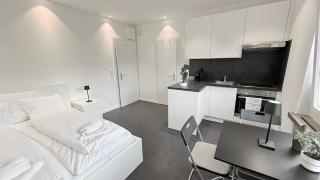 Lea Apartement - Ruhiges Studio - Schaffhausen - 8