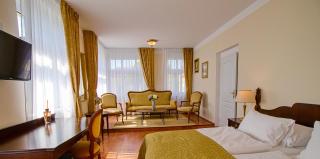 Villa Patriot Apartmány - Marienbad - 3