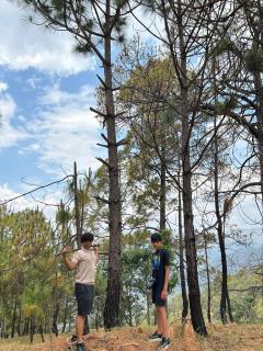 The Himalayan Heaven Binsar - Binsar - 8