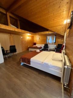 Eden Villa - Ocina de Jos - 7