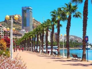 Carlota - Alicante - 9