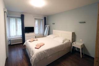 Hotel du Lac Grandson - Grandson - 0