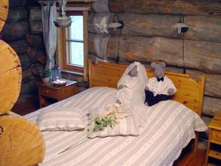 Holiday Home Alppimaja by Interhome - Pätiälä - 4