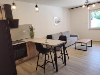 Exclusive Apartment - Opole - 7