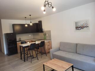 Exclusive Apartment - blisko Dworca, darmowy parking, późne wymeldowanie, rowerownia - 5