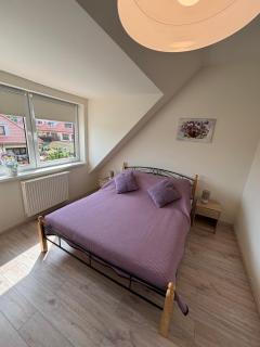 Słoneczne Apartamenty Polanica-Zdrój - Polanica-Zdrój - 8