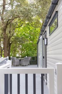 Chantry Lodge - Christchurch - 8