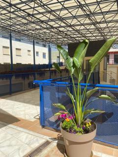 ModernLux - Bormujos - 2