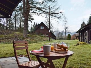 Forest View - Strathyre - 0