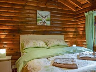 Forest View - Strathyre - 4