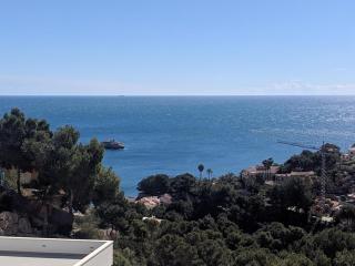 Luxury Villa in Portixol Javea - 1