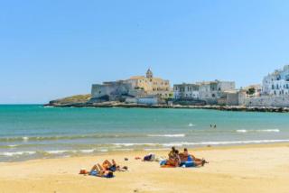 A due passi dal centro - Vieste - 6
