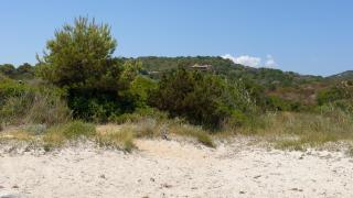 Villa Pony - Porto Istana - 4