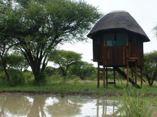 Witgatboom Boskamp - 2