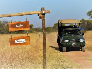 Witgatboom Boskamp - 1