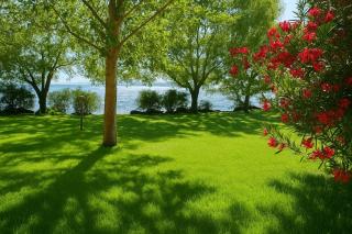 International Glamping Lago Di Bracciano - Trevignano Romano - 0