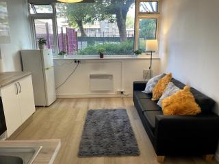 Lovely 2 bedroom flat in Hoxton - Londra - 0