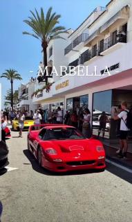 cozyfina albatros 6 - Marbella - 5