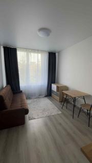 Petrašiūnai private flat - Pakapiai - 0