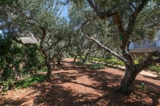 Azure Cove Villa Kalathas Bay Luxury Redefined Serenity And Privacy - 5