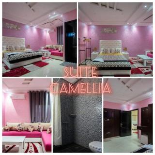 Villa Flower - Oulad Akkou - 4