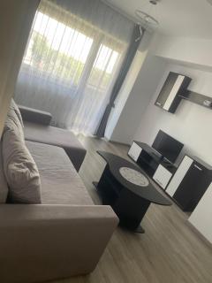 kyr house 3 - Văleni - 4