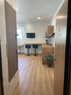 Capris Apartment - Capodistria - 2