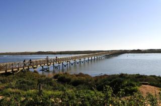 Charming Caminha Villa 4 Bedrooms Villa Caminha View Private Pool Astounding Sea Views Viana Do Castelo - Caminha - 6