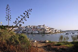 Charming Caminha Villa 4 Bedrooms Villa Caminha View Private Pool - 2