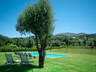 Beautifully Restored Ponte De Lima Farm House 6 Bedrooms Quinta Fornelos - 7