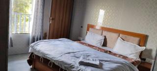 Hotel Neilkanth - Dhanaulti - 2
