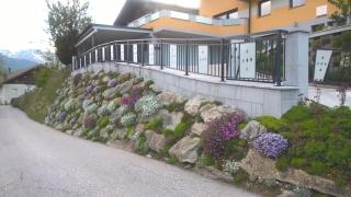 Gästehaus Alberta - Navis - 7