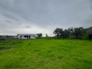 La casa de las Moras - 2