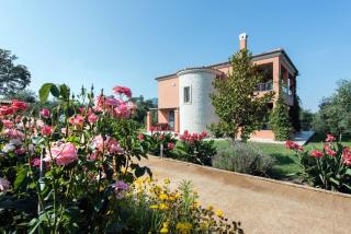 Contemporary Corfu Retreat 3 Bedrooms Villa Girasole Artful Decor Lush Garden Tranquil Setting - Dafnila - 9