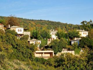 Great Pelion Villa Villa Iris 4 Bedrooms Private Pool - 6