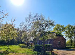 Die alte Waldkate - Windschief und mitten in der Natur - 8