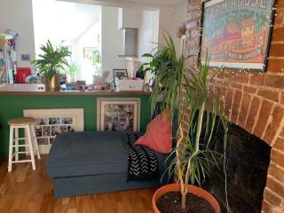 Charming, plant-filled cottage - Oxford - 7